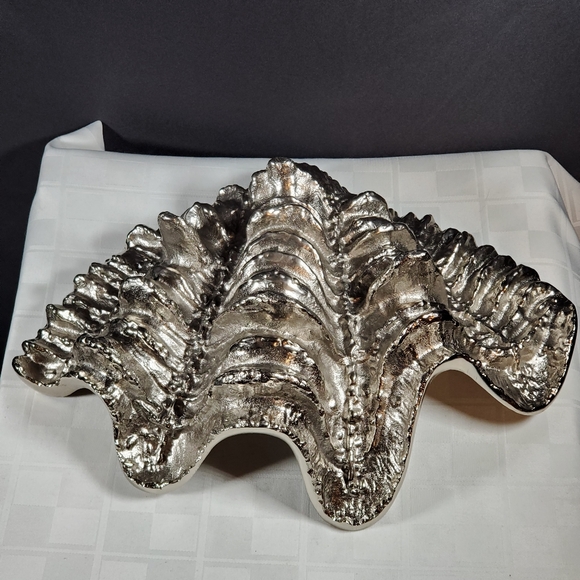 XL Sea Shell - Picture 3 of 4